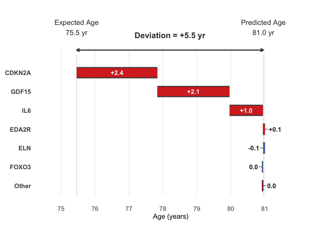 Waterfall decomposition of one synthetic sample's age-matched deviation into per-gene contributions